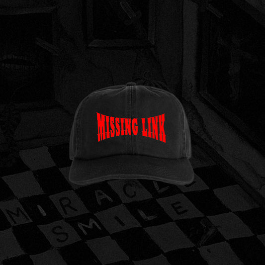 MISSING LINK - LOGO CAP